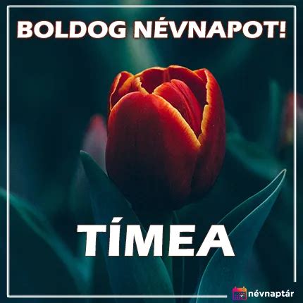 timea névnap|Tímea névnap